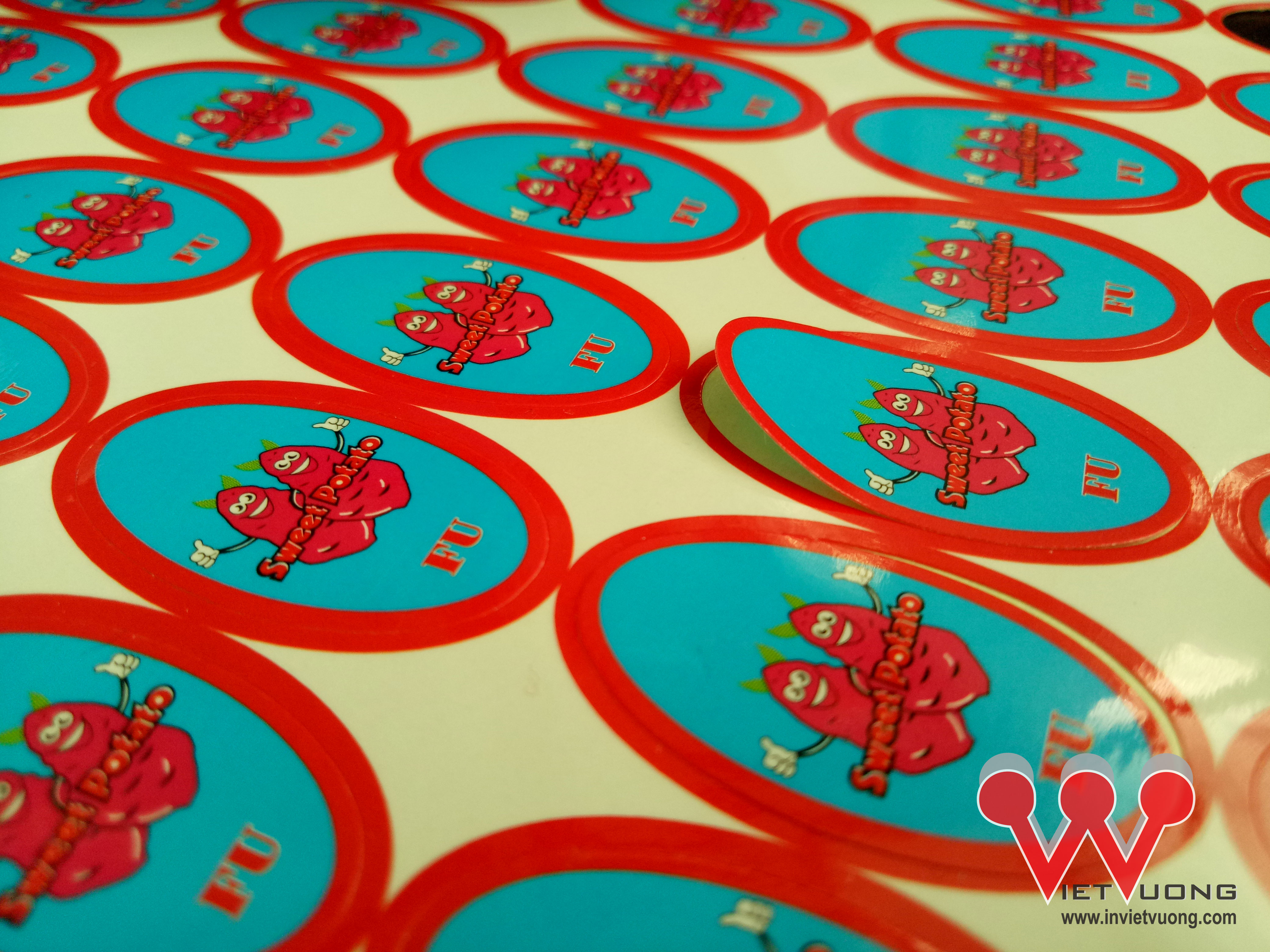 decal-giay-hcm.jpg