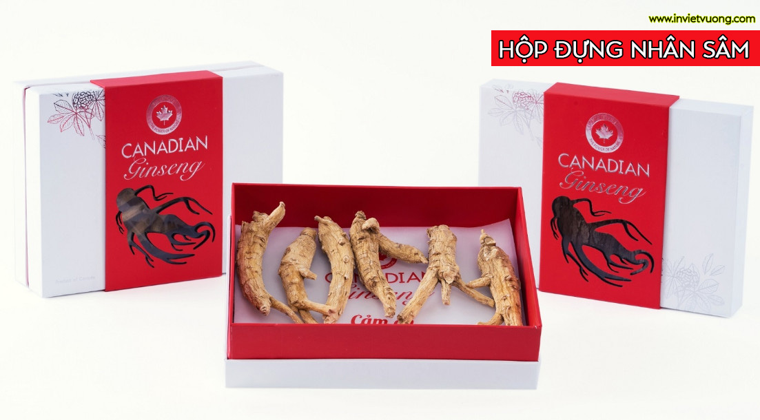 hop%20nhan%20sam%2045.jpg